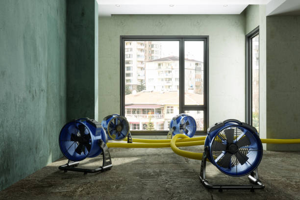 Best Fire Damage Restoration  in Rancho Viejo, TX